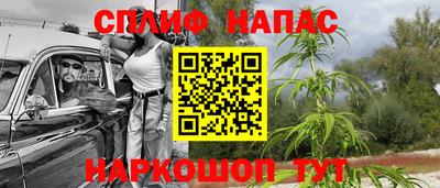 прущие грибы Абинск